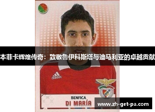 本菲卡辉煌传奇：致敬鲁伊科斯塔与迪马利亚的卓越贡献