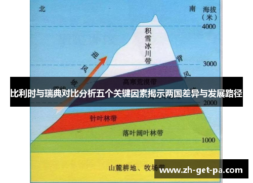 比利时与瑞典对比分析五个关键因素揭示两国差异与发展路径